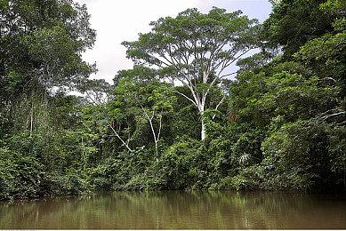 PLAYISM游戏展：太空狼人杀《古诺希亚》Steam版1月23日发售